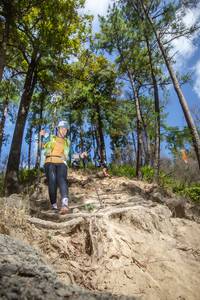 BIB: 
                            <button type="button" onclick="openModal(15932288)" class="btn btn-primary btn-sm float-right btn-popup" data-toggle="modal" data-target=".modal-high-quality">
                        <i class="fas fa-shopping-cart"></i> Add to Cart
                    </button>
                                            <button type="button" onclick="isThisMe(15932288, true)" class="btn btn-success btn-sm float-right btn-popup btn-isme hidden" data-toggle="tooltip" data-placement="bottom" title="นี่คือรูปของคุณใช่ไหม คลิกที่นี่เพื่อเอาเข้าอัลบั้ม">
                        <i class="fas fa-plus"></i> Add to album
                    </button>
                    <button type="button" onclick="isThisMe(15932288, false)" class="btn btn-warning btn-sm float-right btn-popup btn-isnotme hidden">
                        <i class="fas fa-ban"></i> Remove from album
                    </button>